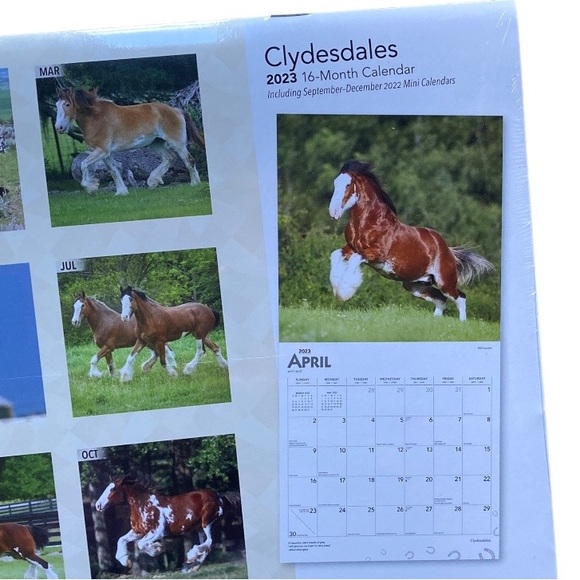 Calendar “Clydesdales” Sixteen Months Brand New Gorgeous Photography - Picture 3 of 10